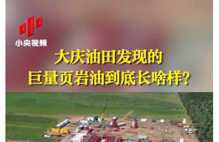 大慶油田發(fā)現(xiàn)的巨量頁巖油到底長啥樣？