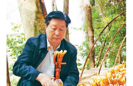 《山海情》蘑菇專(zhuān)家原型、“最美教師”林占熺：心心念念的，永遠(yuǎn)是菌草