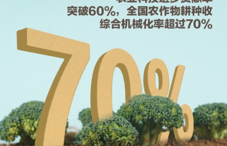中國產(chǎn)糧能力有多強(qiáng)？這些數(shù)據(jù)告訴你答案