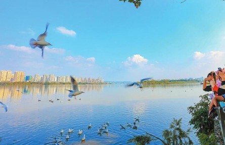 四川：“鳥口普查”怎么查？