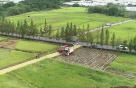 豐收中國·浙江浦江：稻作全程機械化 農(nóng)業(yè)生產(chǎn)越來越高效