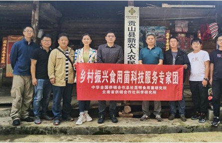 “鄉(xiāng)村振興食用菌科技服務(wù)專家團”赴怒江州開展科技服務(wù)