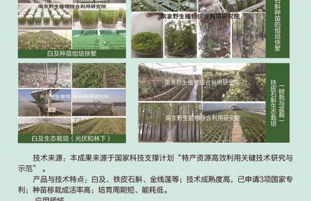 功能性植物種苗工廠化組培快繁、生態(tài)立體種植及高值產(chǎn)品開發(fā)