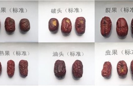 93、成果名稱:紅棗質(zhì)量檢驗分級與標(biāo)準(zhǔn)化技術(shù)服務(wù)