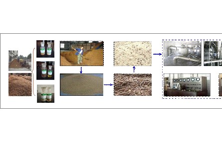 77、成果名稱：蘋果渣高值綜合利用關(guān)鍵技術(shù)