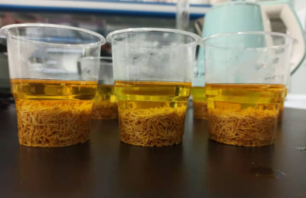 ?53、成果名稱：牡丹花蕊汽爆速溶茶加工技術(shù)