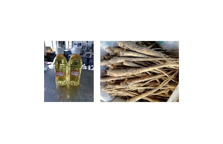 38、成果名稱：澄清型桔梗汁加工關(guān)鍵技術(shù)