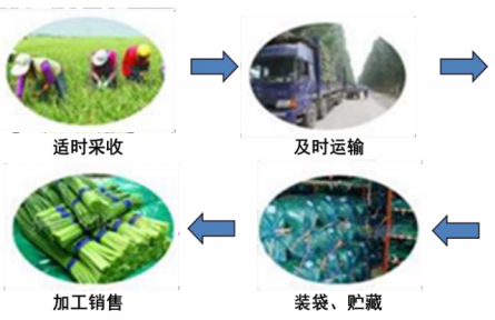 13、成果名稱：大宗蔬菜簡約物流保鮮技術(shù)