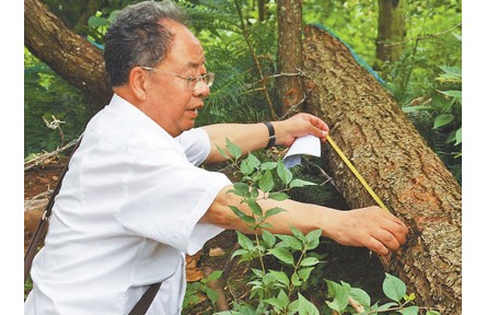 西南林業(yè)大學(xué)教授李鄉(xiāng)旺:扎根云嶺 守護(hù)青山
