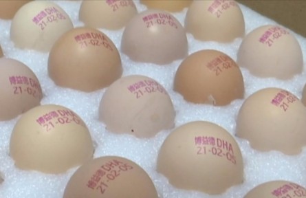 江蘇淮安盱眙縣鮑集鎮(zhèn)鄒黃村：打碼的雞蛋，新鮮看得見！?