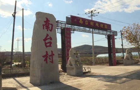 山東省煙臺(tái)市牟平區(qū)南臺(tái)村：特色種植 搭上致富“快車(chē)”