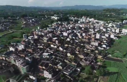 福建：實施鄉(xiāng)村振興戰(zhàn)略 加快建設(shè)現(xiàn)代農(nóng)業(yè)強(qiáng)省