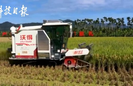 超額完成袁隆平3000斤目標(biāo)任務(wù)！海南雙季稻畝產(chǎn)創(chuàng)紀(jì)錄