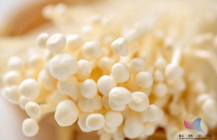 平時吃的金針菇，其實多是銀針菇？兩者有何不同？