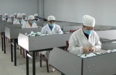河北：從賣“原字號(hào)”到賣制成品 農(nóng)業(yè)龍頭項(xiàng)目助力鄉(xiāng)村振興