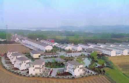 美麗鄉(xiāng)村，振興有我 | 安徽鳳陽(yáng)：記四位農(nóng)村青年在鄉(xiāng)村廣闊舞臺(tái)上奮斗青春