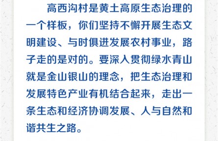 扎實推進鄉(xiāng)村振興 習(xí)近平心系“三農(nóng)”