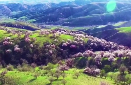 新疆維吾爾自治區(qū)伊犁哈薩克自治州：塞外江南 詩(shī)畫(huà)伊犁