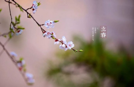 立春，春到人間草木知