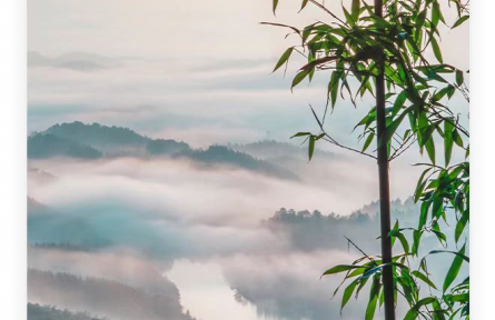 名人名言 | 孔子：其身正，不令而行；其身不正，雖令不從