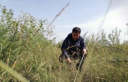 劉海江：十余載初心不改，做好生態(tài)環(huán)境保護(hù)的“眼睛”和“耳朵”