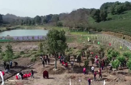 2022年全國(guó)計(jì)劃植樹(shù)造林5006萬(wàn)畝