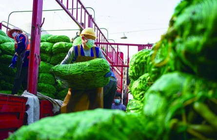 線上建群保供，線下備貨配送！上海全力以赴保障“菜籃子”供應(yīng)