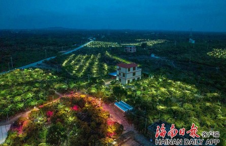 海南?？冢嚎萍假x能 助力鄉(xiāng)村振興