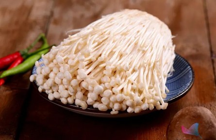 辟謠 | 金針菇為什么叫“明天見”？吃了等于白吃？原來一直誤會它了