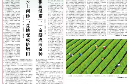 “云上問診”，荒地變成倍增田