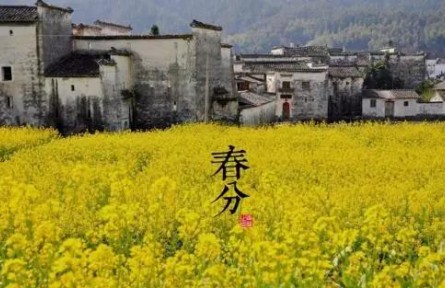 春暖花開，今日春分