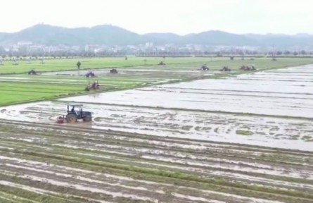湖南：堅持疫情防控和春耕生產“兩不誤”?