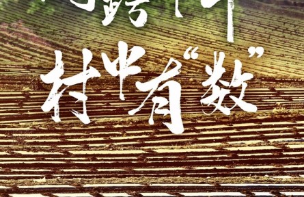 網(wǎng)跨千年，村中有“數(shù)”——“數(shù)字鄉(xiāng)村”賦能西部發(fā)展觀察