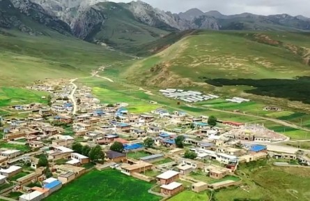 【奮進新征程 建功新時代】青海：政策性農(nóng)業(yè)保險“護航”鄉(xiāng)村振興