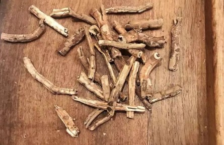 健康問答 | 怎樣煎中藥、喝中藥才能獲得好藥效？