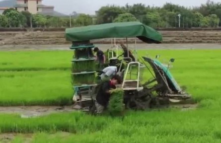農業(yè)農村部：全國春管春播順利推進