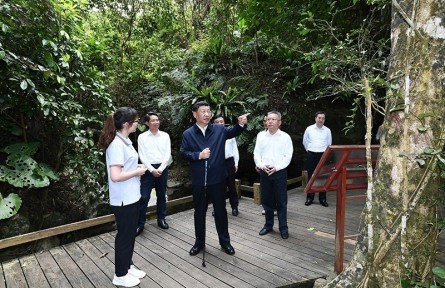習(xí)近平：森林是水庫、錢庫、糧庫，現(xiàn)在應(yīng)該再加上一個“碳庫”