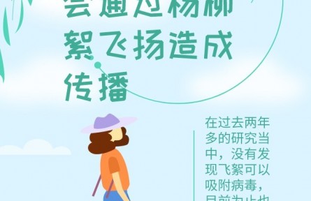 辟謠 | 飛絮會不會傳播新冠病毒？易過敏人群應(yīng)如何做好防護(hù)？