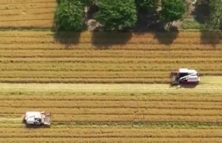 【在希望的田野上·三夏時(shí)節(jié)】我國(guó)夏收拉開(kāi)序幕 大規(guī)模機(jī)收即將展開(kāi)