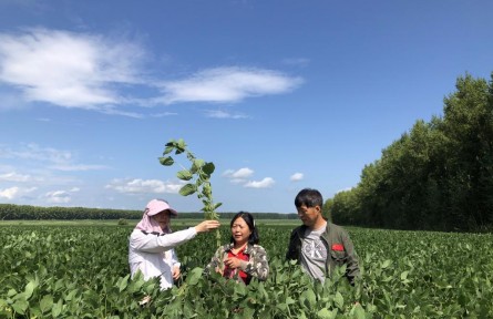 “豆大”的事兒，她一干就是37年