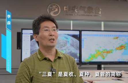 夏收夏種，“天”如何？氣象專家研判來了