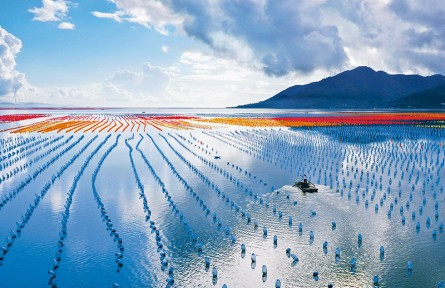 《求是》雜志編輯部：讓中華大地天更藍(lán)、山更綠、水更清、環(huán)境更優(yōu)美