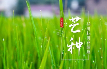 芒種，晝出耘田夜績麻