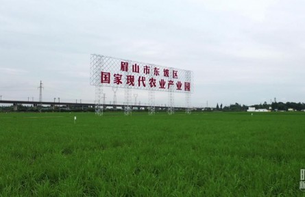 時政新聞眼 | 習(xí)近平再赴四川考察，在眉山重點(diǎn)關(guān)注了什么？