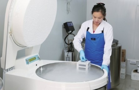 中國農科院育種專家解析糧食安全背后的科技“底氣”
