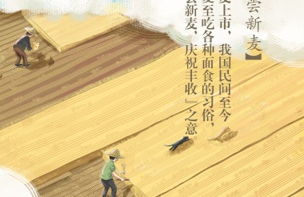 夏至丨喜嘗新麥！你最愛吃哪款面食？