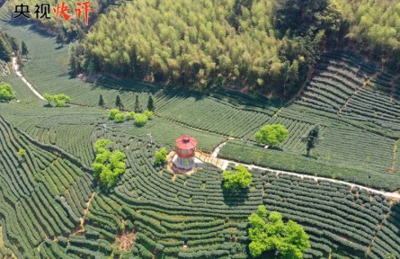 央視快評：保護農業(yè)文化遺產是人類共同的責任