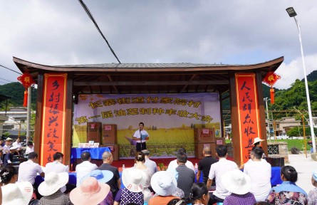 貴州黔南長(zhǎng)順：夏糧豐收“后勁”足 鄉(xiāng)村振興“錢(qián)景”好