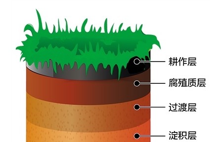 科普 | 黑土地為什么是黑色的？