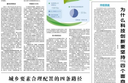 政策集成推動農(nóng)民農(nóng)村共同富裕